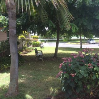 A peaceful park setting with trees, a bench, and lush greenery.