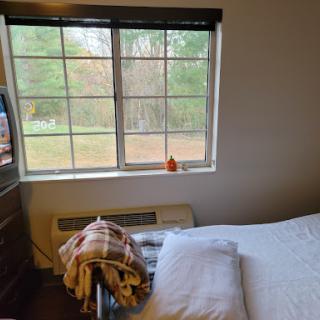 A cozy bedroom featuring a window with a view of nature and neatly arranged bedding.