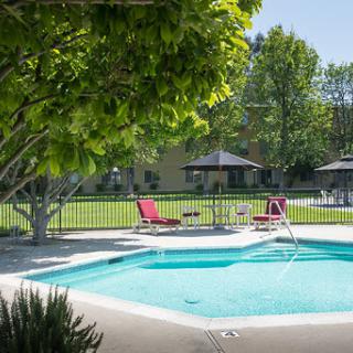 A serene outdoor pool area surrounded by lush greenery, perfect for relaxation.