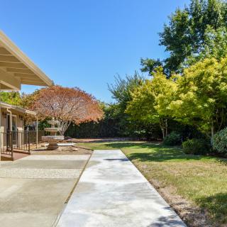 A sunny backyard with a concrete patio and lush green trees.