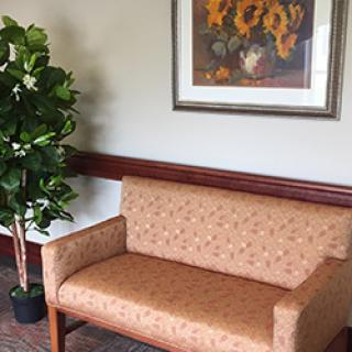 A cozy waiting room with a patterned sofa, decorative painting, and an indoor plant.