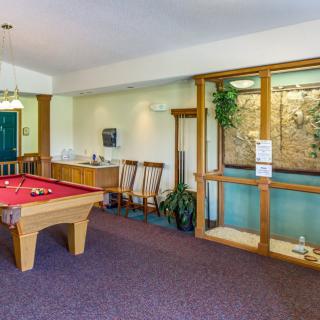 A cozy game room featuring a pool table and seating area, complemented by decorative plants and artwork.
