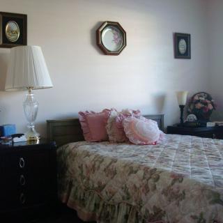 A cozy bedroom with decorative pillows, a bedside lamp, and wall-mounted artwork.