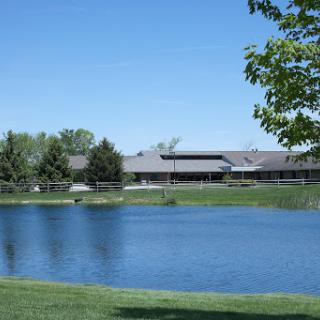 A serene view of a lakeside building surrounded by trees under a clear blue sky.