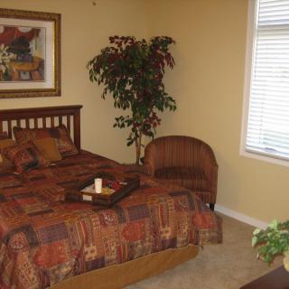 A cozy bedroom with warm decor, featuring a bed, decorative pillows, a framed painting, and indoor plants.