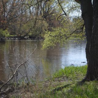 A peaceful river scene with trees and lush greenery along the banks.