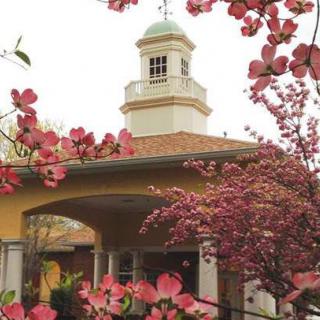 A scenic view of a tower framed by blooming spring flowers.