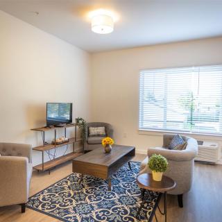 A cozy living room with modern furniture, featuring a TV and a coffee table, accented by a patterned carpet and natural light from the window.