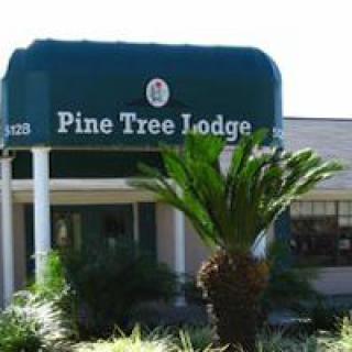 Entrance of Pine Tree Lodge with a green awning and surrounding palm trees.