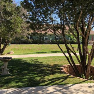 A peaceful backyard view with trees and a well-manicured lawn.