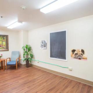A simple room with a chair, potted plant, and wall art.