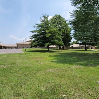 A serene outdoor space featuring lush green grass, trees, and clear skies with a building in the background.