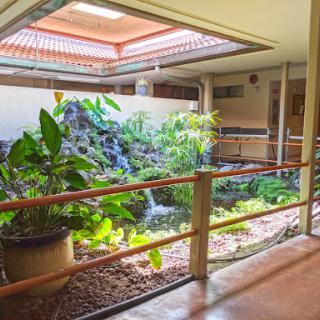 A serene indoor courtyard featuring lush plants and natural light filtering through the roof.