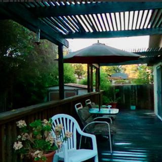 A cozy backyard patio with seating under a pergola, featuring chairs, a table, and vibrant plants.