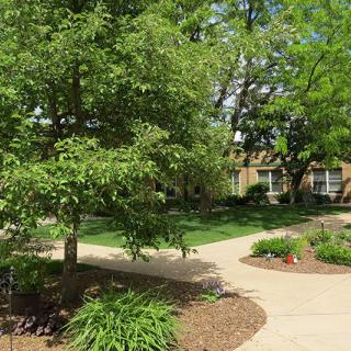 A peaceful garden landscape with winding pathways surrounded by lush greenery and trees.