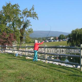 Person fishing by a lake on a clear day.
