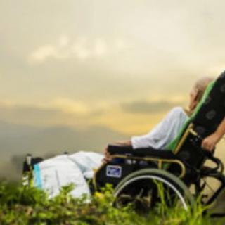 A person in a wheelchair enjoys the serene view of a sunset.