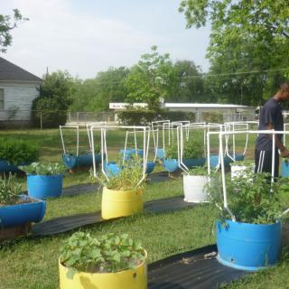 A vibrant outdoor garden featuring various plants growing in colorful container pots.