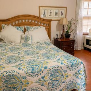 A cozy bedroom with a patterned comforter and decorative pillows on the bed, flanked by a wooden nightstand with a lamp.