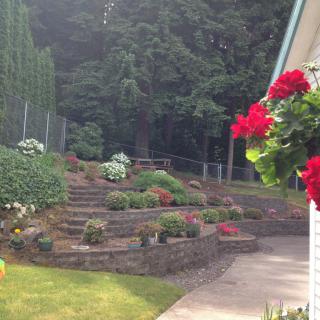 A beautifully landscaped garden with terraces and vibrant flowers.