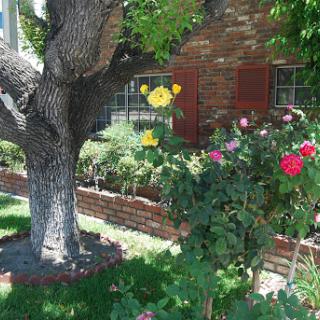 A vibrant garden scene featuring a tree and blooming roses under sunny skies.