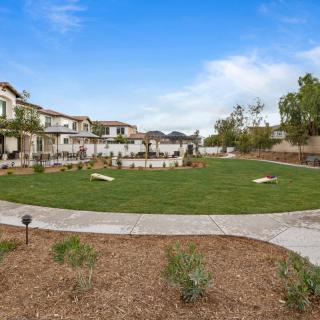 A serene residential neighborhood featuring a well-maintained lawn and a paved pathway under a clear blue sky.