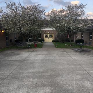 A serene view of a building flanked by blooming trees, set in a peaceful outdoor space.