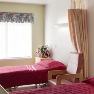 A hospital room with two identical beds separated by a curtain, featuring a window and floral arrangement.