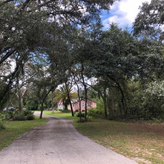 A quiet driveway lined with trees leading to a distant house under a blue sky.