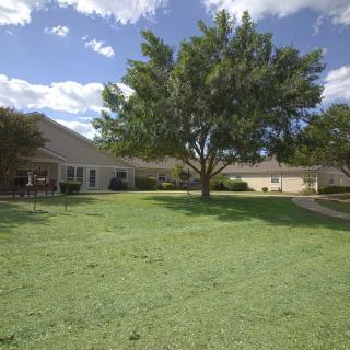 A peaceful residential area with a large tree and well-maintained lawn.