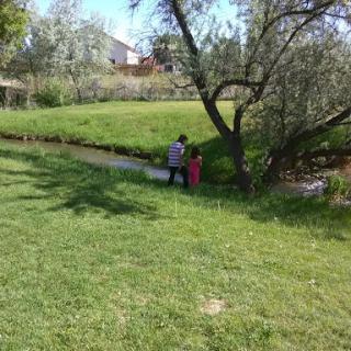 Two children exploring a grassy area near a tree and stream.