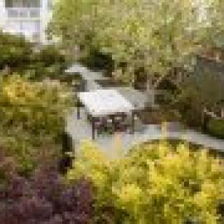 A serene garden with a gazebo surrounded by lush trees and winding pathways.