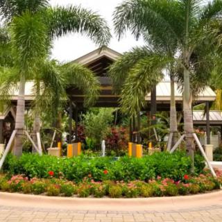 A tropical landscaped garden with palm trees and a building in the background.