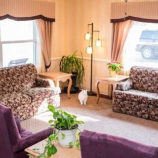 A cozy living room with floral-patterned sofas, greenery, and a cat exploring the space.