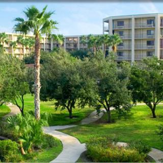 A resort with lush gardens and walking paths surrounded by palm trees.