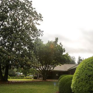 A serene view of a house surrounded by lush greenery and trees under a cloudy sky.