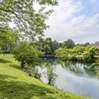 A serene landscape featuring a tranquil lake surrounded by lush greenery and trees under a clear sky.