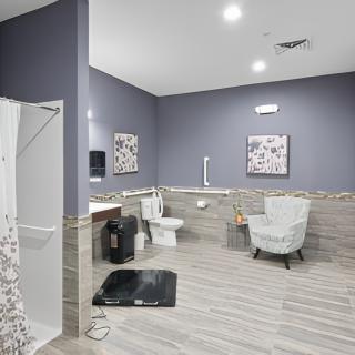 A modern bathroom with a shower, toilet, and decorative elements.