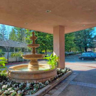 A serene courtyard with a decorative fountain surrounded by lush greenery and flowers.