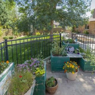 A cozy patio garden with various plants and flowers next to a fenced yard.