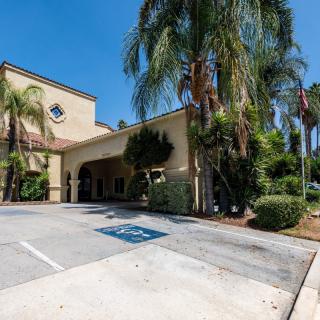 A sunny day view of a building entrance with palm trees and a parking lot, featuring a designated handicap parking space.