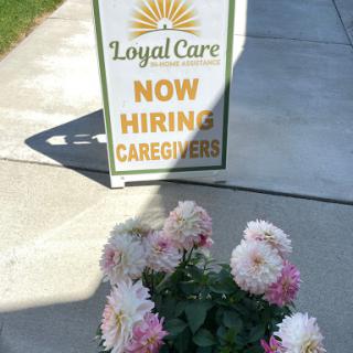 A sign advertising job openings for caregivers, accompanied by blooming flowers.