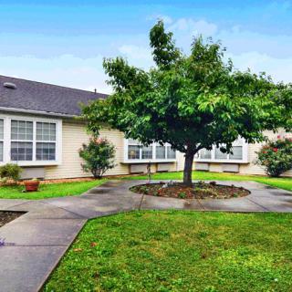A tranquil courtyard featuring a central tree, surrounded by a grassy area and a building in the background.