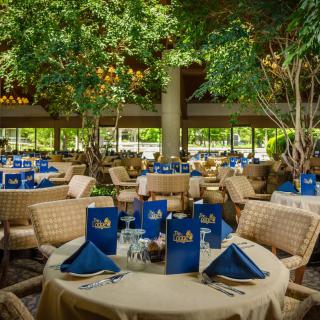 A well-decorated restaurant interior with wicker chairs and neatly set tables, surrounded by indoor trees.