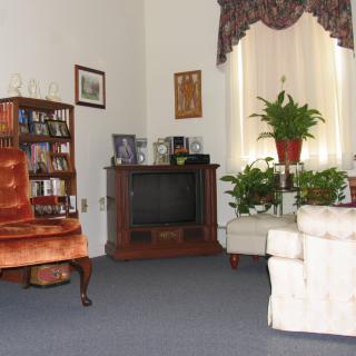 A cozy living room with vintage furniture, featuring an armchair, a television, a bookshelf, and several potted plants.