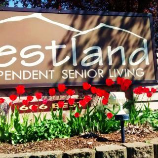 Sign for an independent senior living community surrounded by red tulips.