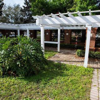 A garden scene featuring a white pergola structure surrounded by lush greenery.