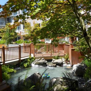 A tranquil garden scene with a wooden bridge over a small stream surrounded by rocks and trees.