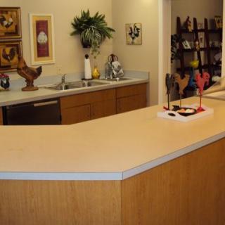 A modern kitchen with a spacious countertop and stylish decor.