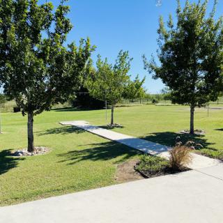 A serene park scene with a concrete pathway lined by trees on a sunny day.